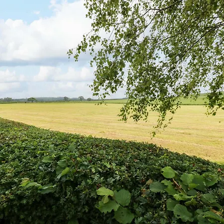 12 Field View Semesterbostad *