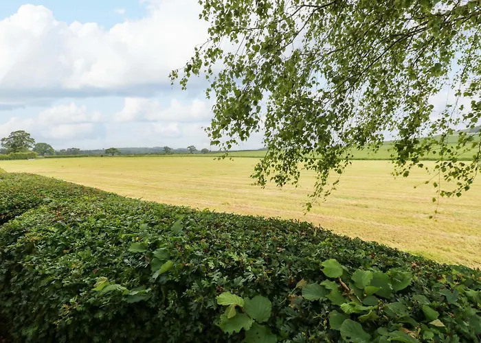 12 Field View Semesterbostad *