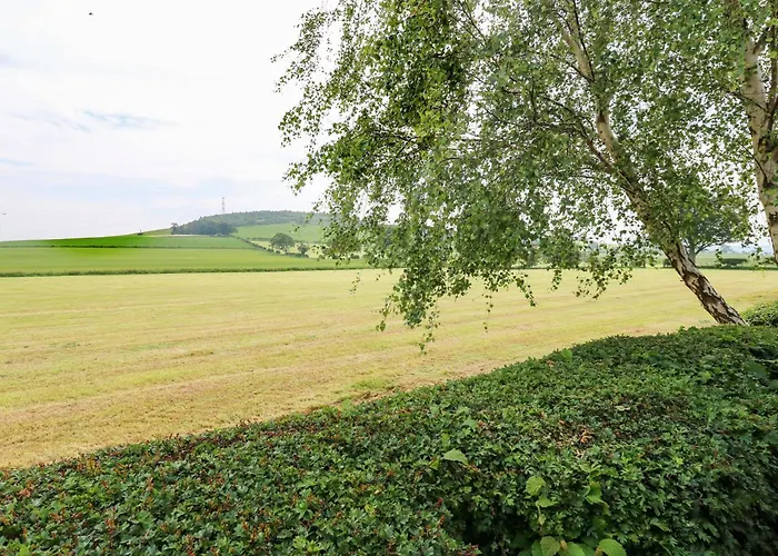 Semesterbostad 12 Field View